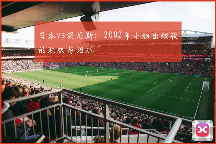 日本vs突尼斯：2002年小组出线夜的狂欢与泪水