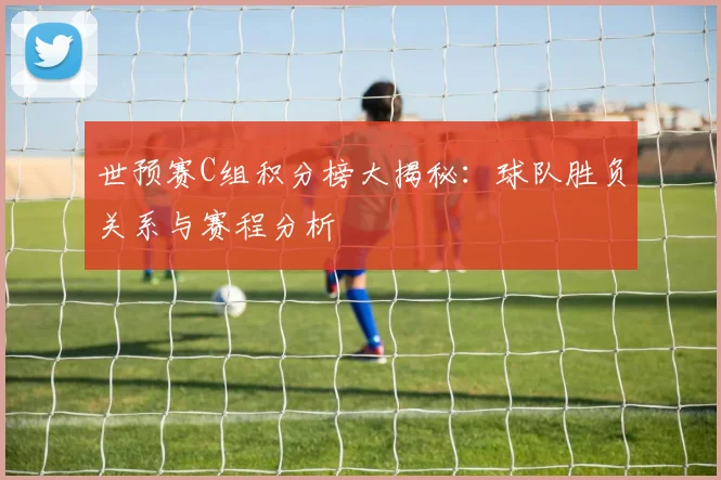 世预赛C组积分榜大揭秘：球队胜负关系与赛程分析