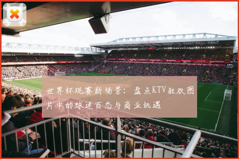 世界杯观赛新场景：盘点KTV狂欢图片中的球迷百态与商业机遇
